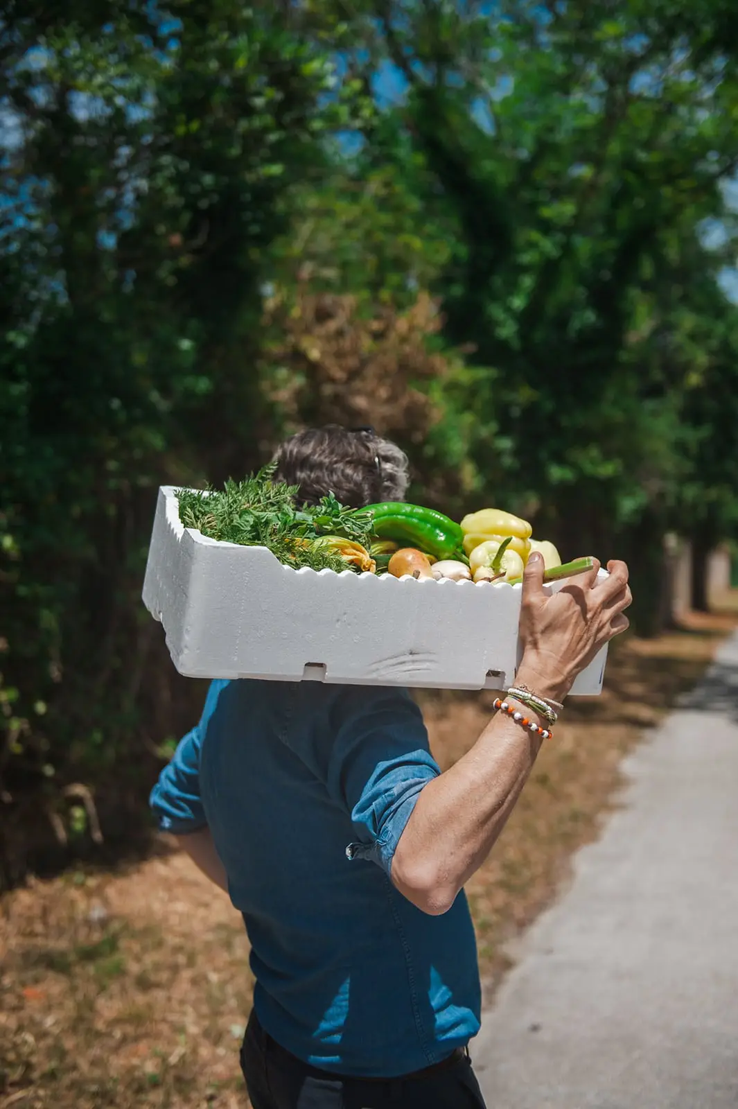 Osti in Orto Experiences | Hotel Flora Venice